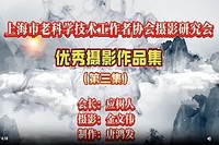 市老科协优秀摄影作品集（三）