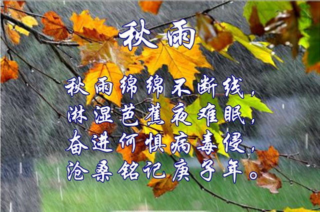 201012-4.jpg