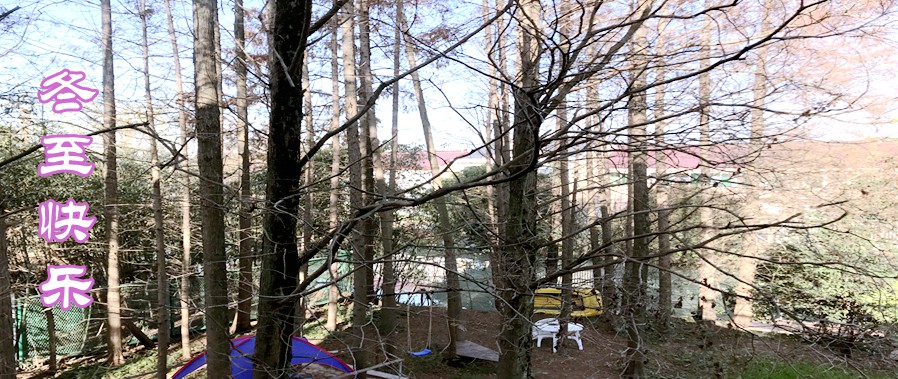 201221-3.jpg