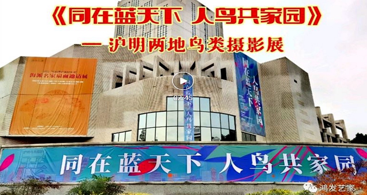 人鸟共家园.JPG